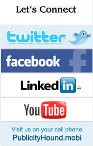 social media icons at The Publicity Hound website 