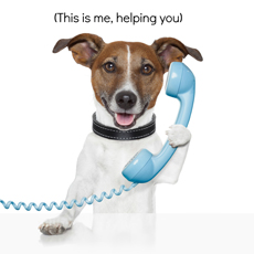 dog on the phone talking